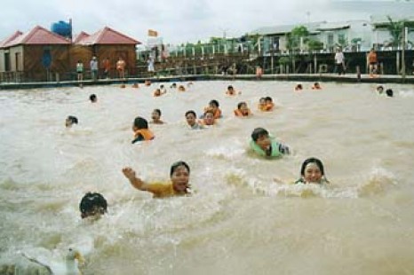 Tour Du Lịch Miền Tây 1 Ngày – Xứ Dừa – Cái Mơn